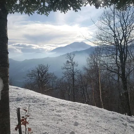 Ca-jo Oda ve Kahvaltı 3*