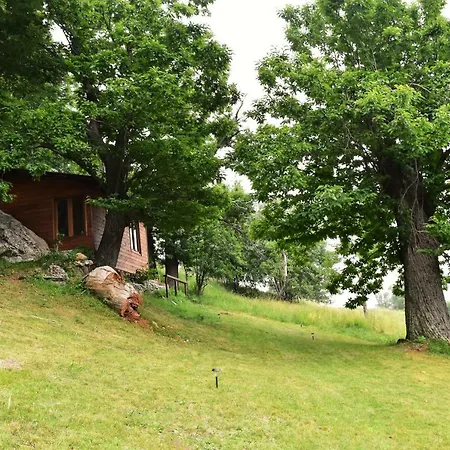 Ca-jo Oda ve Kahvaltı Garessio