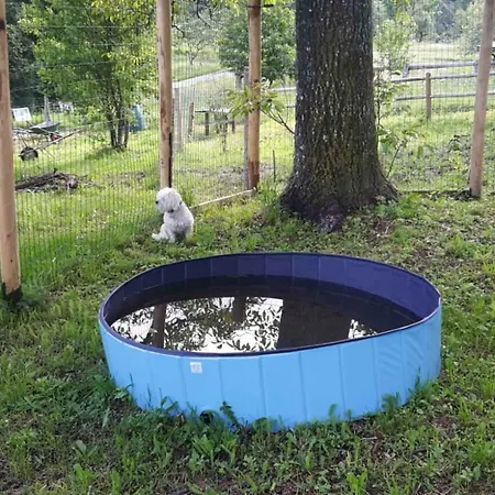 Couette-café Ca-jo Garessio